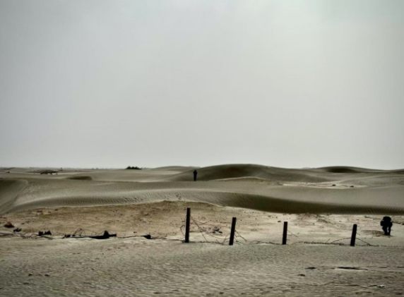 教育将在学生教师业界专家共同形成的圈