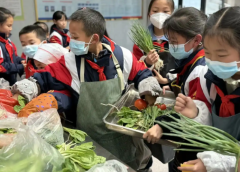 構建根底拓寬特征三級課程系統根底課程